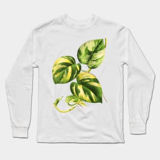 Golden Pothos - L’ Illustration horticole - Botanical Illustration Long Sleeve T-Shirt